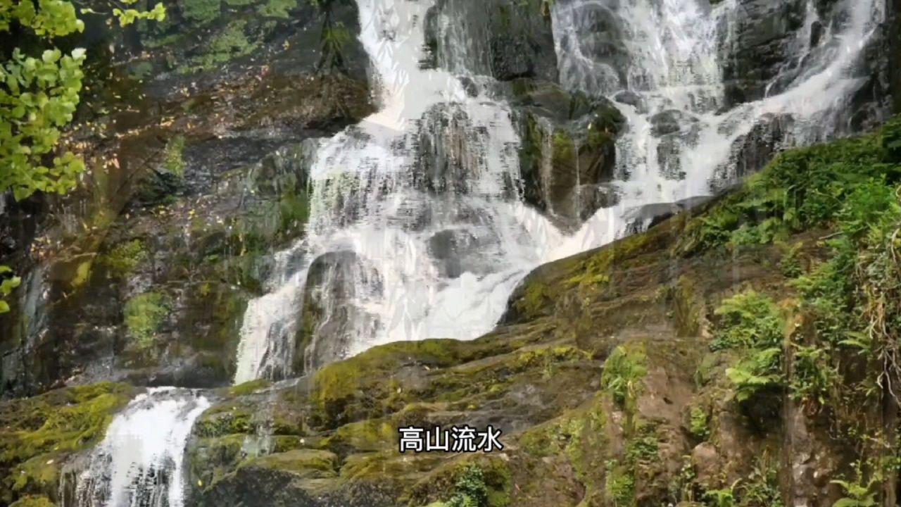 模拟狩猎
